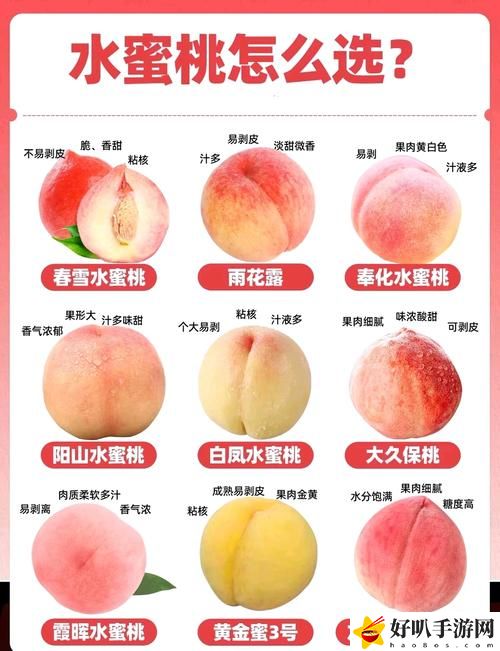 蜜桃國(guó)精產(chǎn)品二三三區(qū)