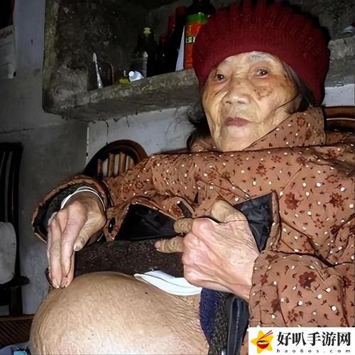 熟老太HDt∪be 逗號(hào)
